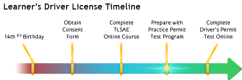 Driver License Knowledge Test Online